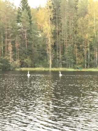 Дома для отпуска Holiday House by the Lake Ристиина Дом для отпуска-20