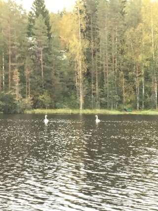 Дома для отпуска Holiday House by the Lake Ристиина Дом для отпуска-41